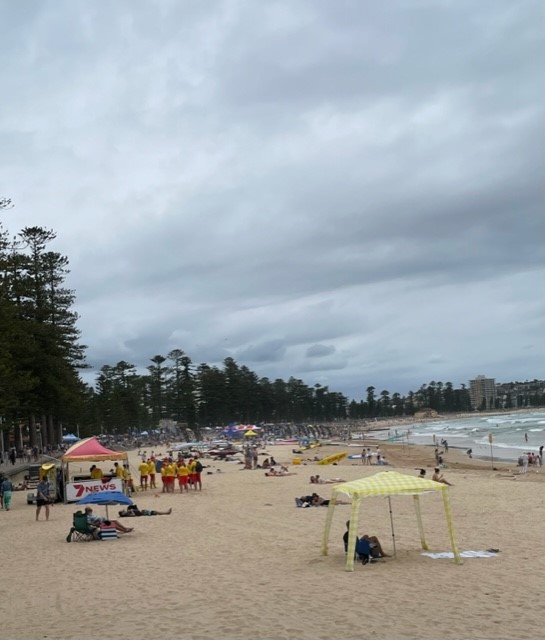 Manly Beach, Manly New South Wales Australia 