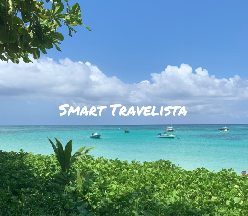 The Smart Travelista